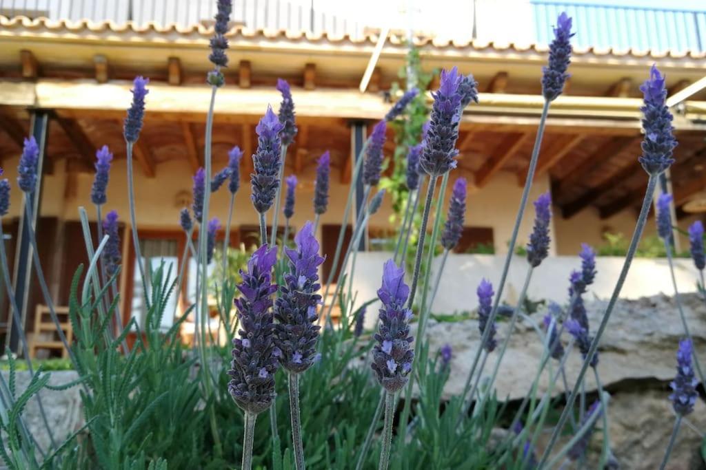 Finca Rural S'Estepa Palma Exterior foto
